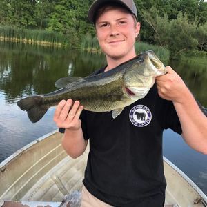 Meet your Posher, Tanner